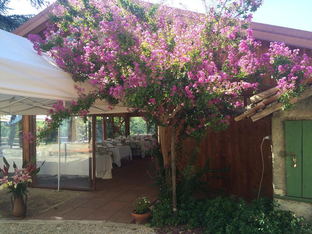 Вилла Agriturismo Ristorante Albachiara Carpeneto Экстерьер фото